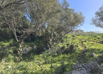 20260213_100803.jpg - Terreno agricolo C.DA CUGNI  SNC, Siracusa - foto 9