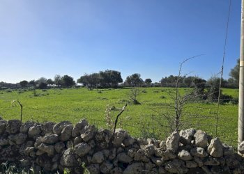 20260213_101628.jpg - Terreno agricolo C.DA CUGNI  SNC, Siracusa - foto 10