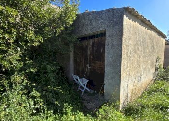 20260213_100411.jpg - Terreno agricolo C.DA CUGNI  SNC, Siracusa - foto 12