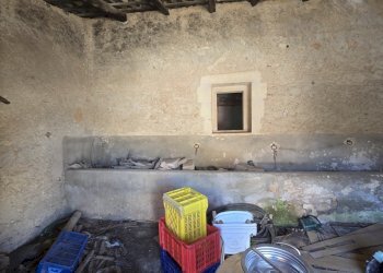 20260213_095653.jpg - Terreno agricolo C.DA CUGNI  SNC, Siracusa - foto 22