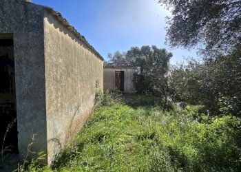 20260213_100412.jpg - Terreno agricolo C.DA CUGNI  SNC, Siracusa - foto 24