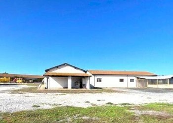 750369686.jpg - Locale Commerciale Fiano Romano - foto 5