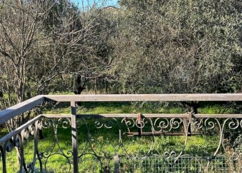 785a844d-56e6-489b-9cd0-08d642303f5b.jpg - Casa indipendente Via Canale 193, Castelnuovo Magra - foto 18