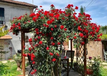 abf13391-3181-4d71-98e3-cd9702e2efbf.jpg - Casa indipendente Via Canale 193, Castelnuovo Magra - foto 29