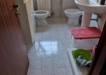 1338581_v6zw45by.jpg - Quadrilocale Via Bertoloni, frazione Avenza, Carrara - foto 8