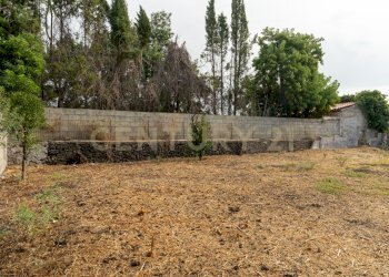 Terreno Amato (14).jpg - Terreno edificabile Via Catania 77, San Gregorio di Catania - foto 9