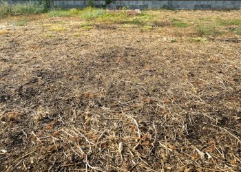 Terreno Amato (15).jpg - Terreno edificabile Via Catania 77, San Gregorio di Catania - foto 20