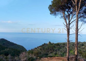 e9e101bc-5ded-4e5c-8d5b-a512265c877c.jpg - Locale Commerciale Via Santisi, Motta d'Affermo - foto 21