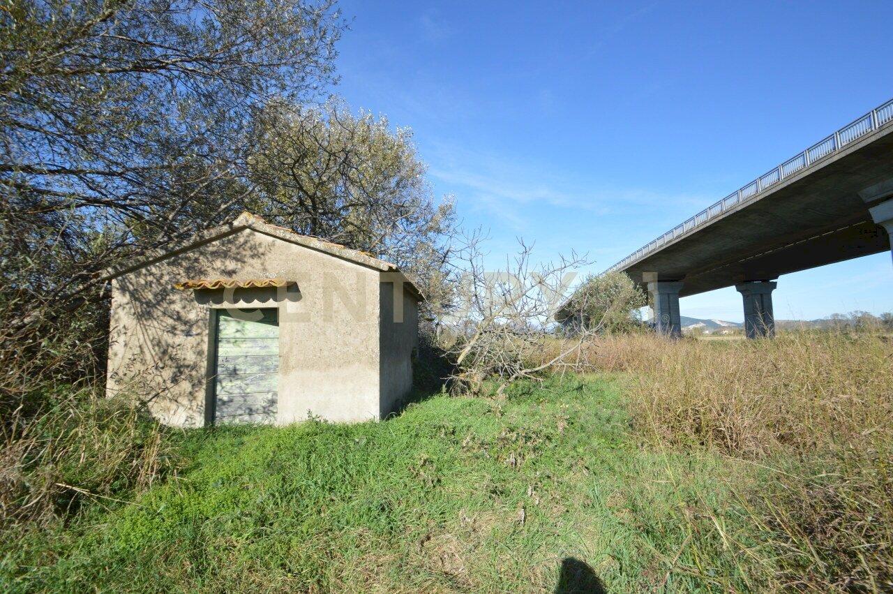 DSC_0114.JPG - Rustic Strada dell'Isolotto, Grosseto - photo 1