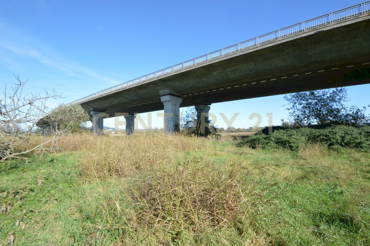 DSC_0115.JPG - Rustic Strada dell'Isolotto, Grosseto - photo 2