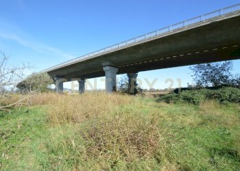 DSC_0115.JPG - Rustico Strada dell'Isolotto, Grosseto - foto 2