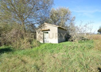 DSC_0119.JPG - Rustico Strada dell'Isolotto, Grosseto - foto 4