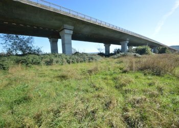 DSC_0118.JPG - Rustico Strada dell'Isolotto, Grosseto - foto 5