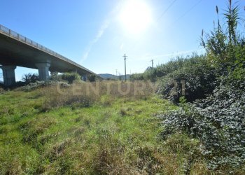 DSC_0117.JPG - Rustico Strada dell'Isolotto, Grosseto - foto 6