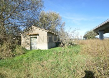 DSC_0120.JPG - Rustico Strada dell'Isolotto, Grosseto - foto 7