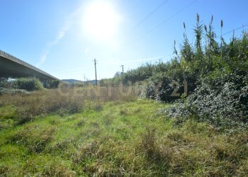 DSC_0122.JPG - Rustico Strada dell'Isolotto, Grosseto - foto 8