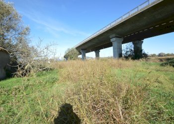 DSC_0123.JPG - Rustico Strada dell'Isolotto, Grosseto - foto 9