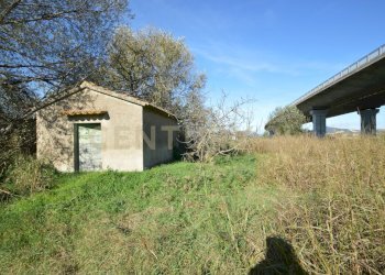 DSC_0124.JPG - Rustico Strada dell'Isolotto, Grosseto - foto 10