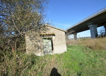 DSC_0112.JPG - Rustico Strada dell'Isolotto, Grosseto - foto 11