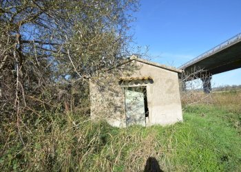 DSC_0113.JPG - Rustico Strada dell'Isolotto, Grosseto - foto 13