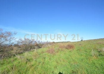 DSC_0096.JPG - Terreno agricolo Strada Provinciale Montiano, Grosseto - foto 1