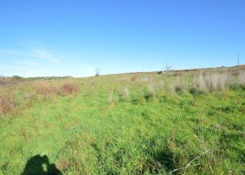 DSC_0100.JPG - Terreno agricolo Strada Provinciale Montiano, Grosseto - foto 5