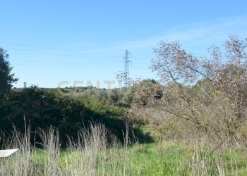 DSC_0103.JPG - Terreno agricolo Strada Provinciale Montiano, Grosseto - foto 8
