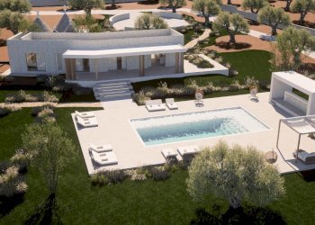 WhatsApp Image 2026-02-12 at 16.01.59.jpeg - Terreno edificabile Contrada Santoro 46, Ostuni - foto 2