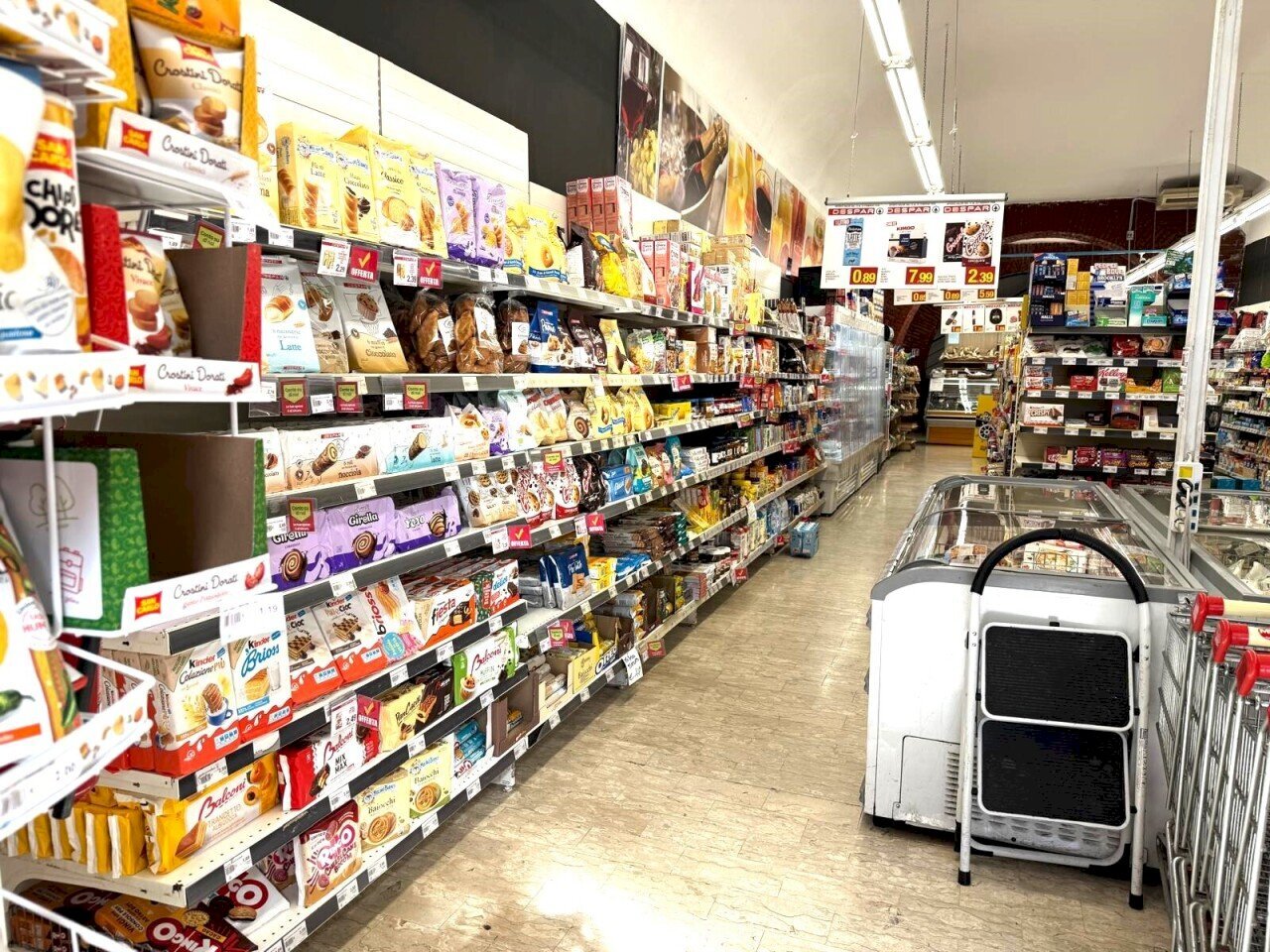 IMG-20260223-WA0013.jpg - Food - Gastronomy Borgo S. Francesco D'Assis 28, Anagni - photo 3