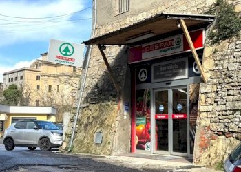 IMG-20260223-WA0004.jpg - Alimentari - Gastronomia Borgo S. Francesco D'Assis 28, Anagni - foto 14