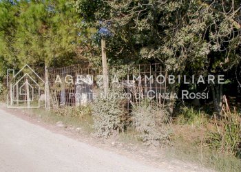 Casa indipendente Ravenna (zona Lido di Classe) - foto 4