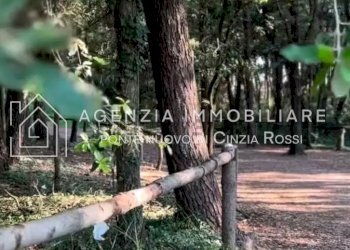 Casa indipendente Ravenna (zona Lido di Classe) - foto 7