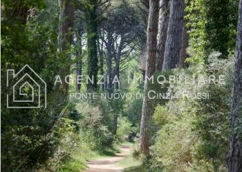 Casa indipendente Ravenna (zona Lido di Classe) - foto 8