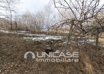 Terreno - Casa semi indipendente Via Bergera, 163, Bagnolo Piemonte - foto 35