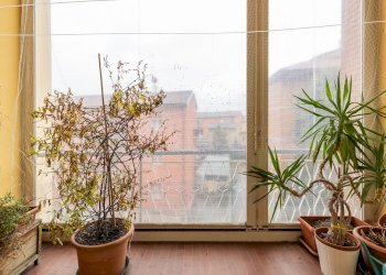 Appartamento Imola - foto 15