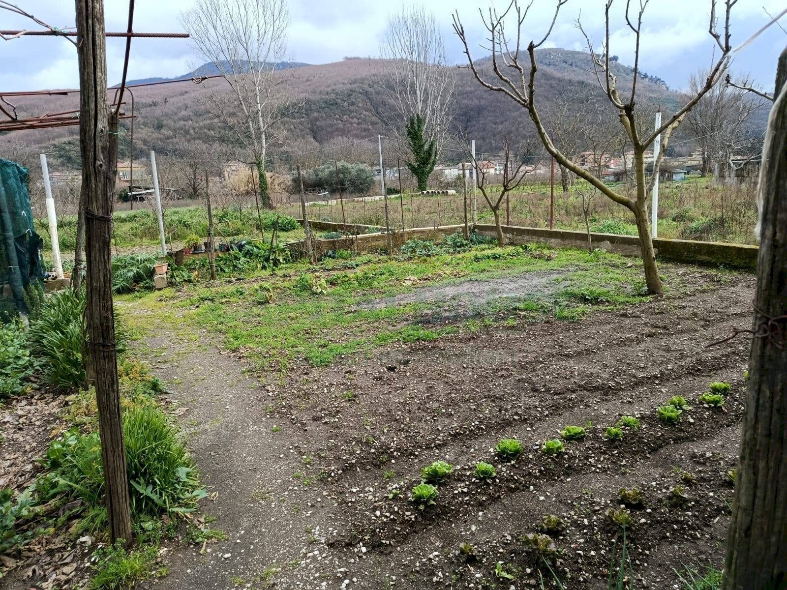 Foto 3 - Terreno agricolo Montoro - foto 3