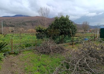 Foto 1 - Terreno agricolo Montoro - foto 1