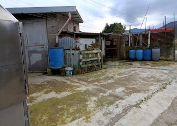 Foto 5 - Terreno agricolo Montoro - foto 5