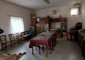 Foto 7 - Terreno agricolo Montoro - foto 7