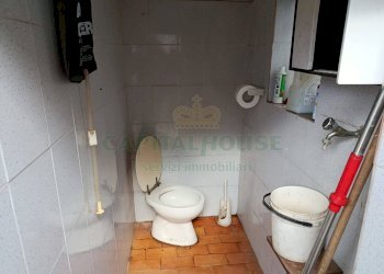 Foto 10 - Terreno agricolo Montoro - foto 10