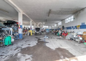 Foto 3 - Capannone Via Raffaello Sanzio
 
4, Tarquinia - foto 3