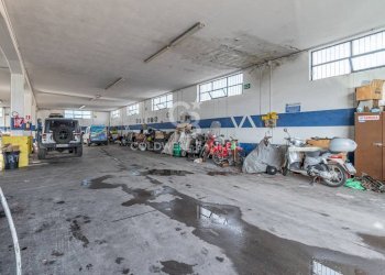 Foto 5 - Capannone Via Raffaello Sanzio
 
4, Tarquinia - foto 5