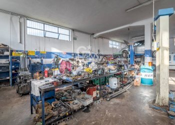 Foto 7 - Capannone Via Raffaello Sanzio
 
4, Tarquinia - foto 7