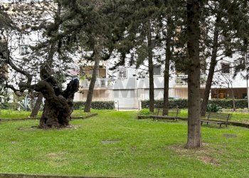 Giardino - Four-room apartment Via Cornole di Ruccia
 
46, Modugno - photo 3