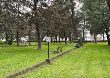 Giardino - Four-room apartment Via Cornole di Ruccia
 
46, Modugno - photo 4