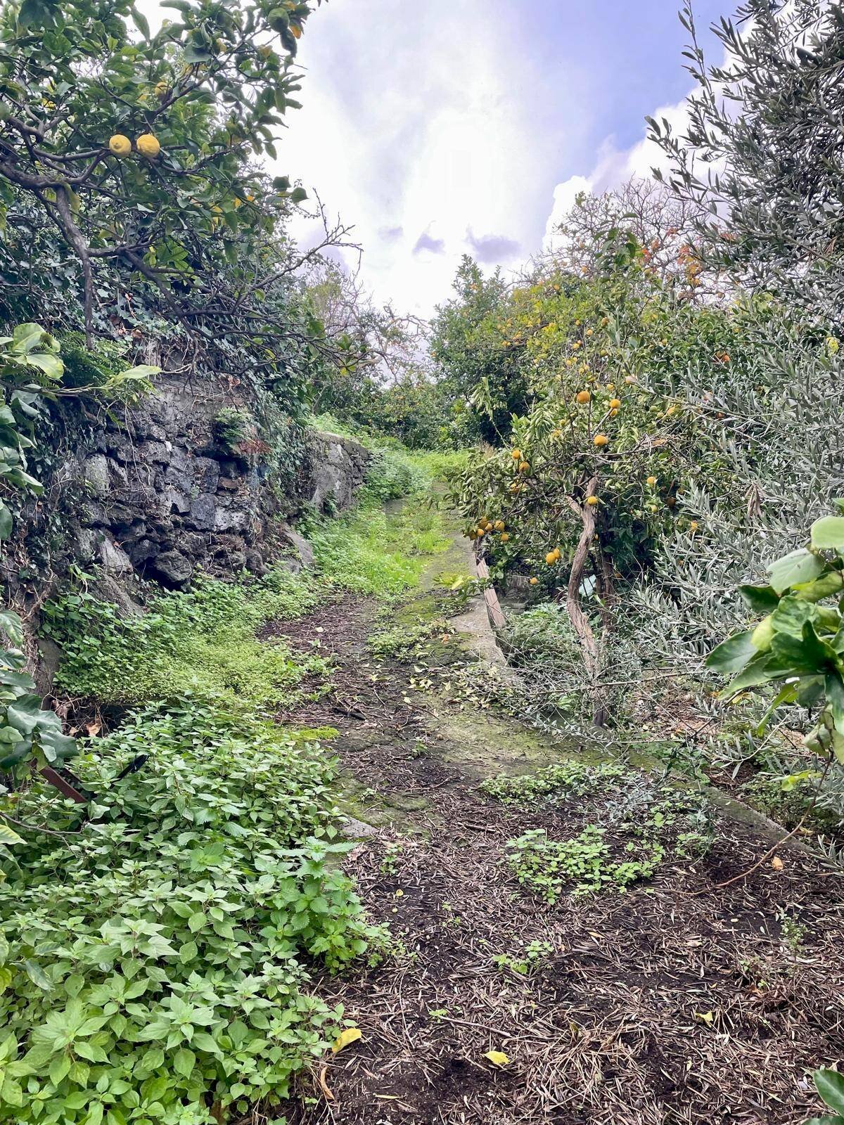 Giardino - Agricultural land Via Ragogna
 
13, Acireale - photo 3