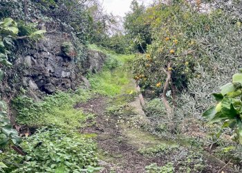 Giardino - Terreno agricolo Via Ragogna
 
13, Acireale - foto 3