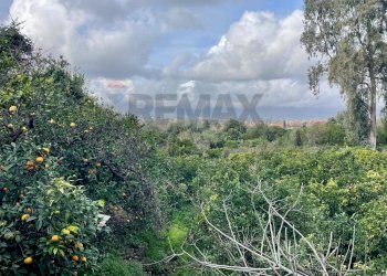 Vista delle montagne - Terreno agricolo Via Ragogna
 
13, Acireale - foto 4