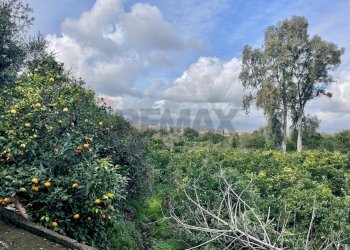 Vista delle montagne - Terreno agricolo Via Ragogna
 
13, Acireale - foto 5