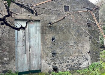 Casa all\'aperto - Terreno agricolo Via Ragogna
 
13, Acireale - foto 6
